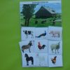 Categoriseren – Boerderijdieren