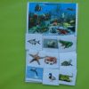 Categoriseren – Dieren in het water